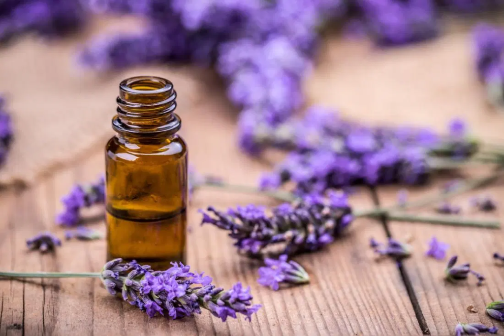 5 Essential Oils That Elevate Your Intimacy Mood